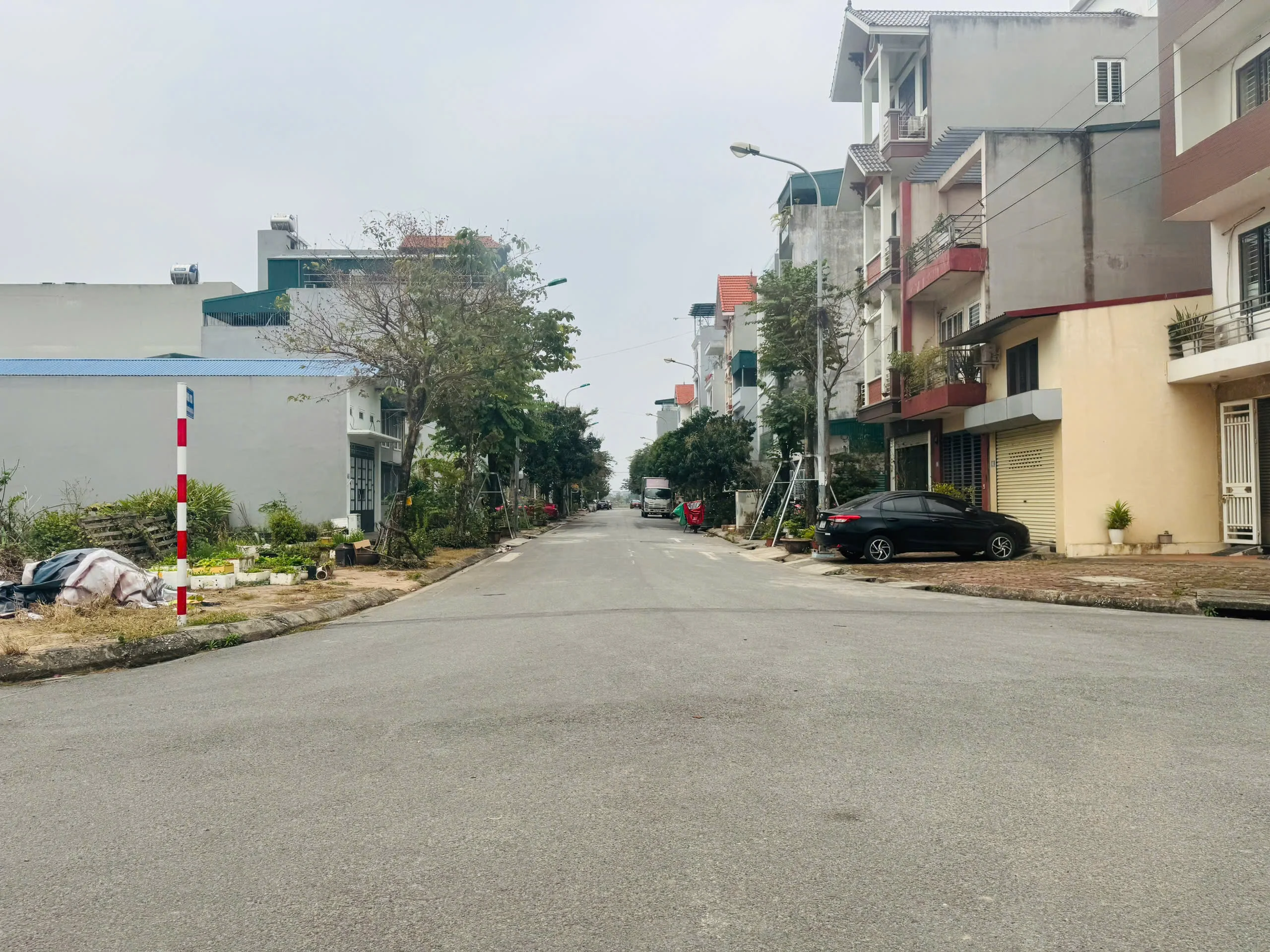ban dat tai dinh cu trau quy