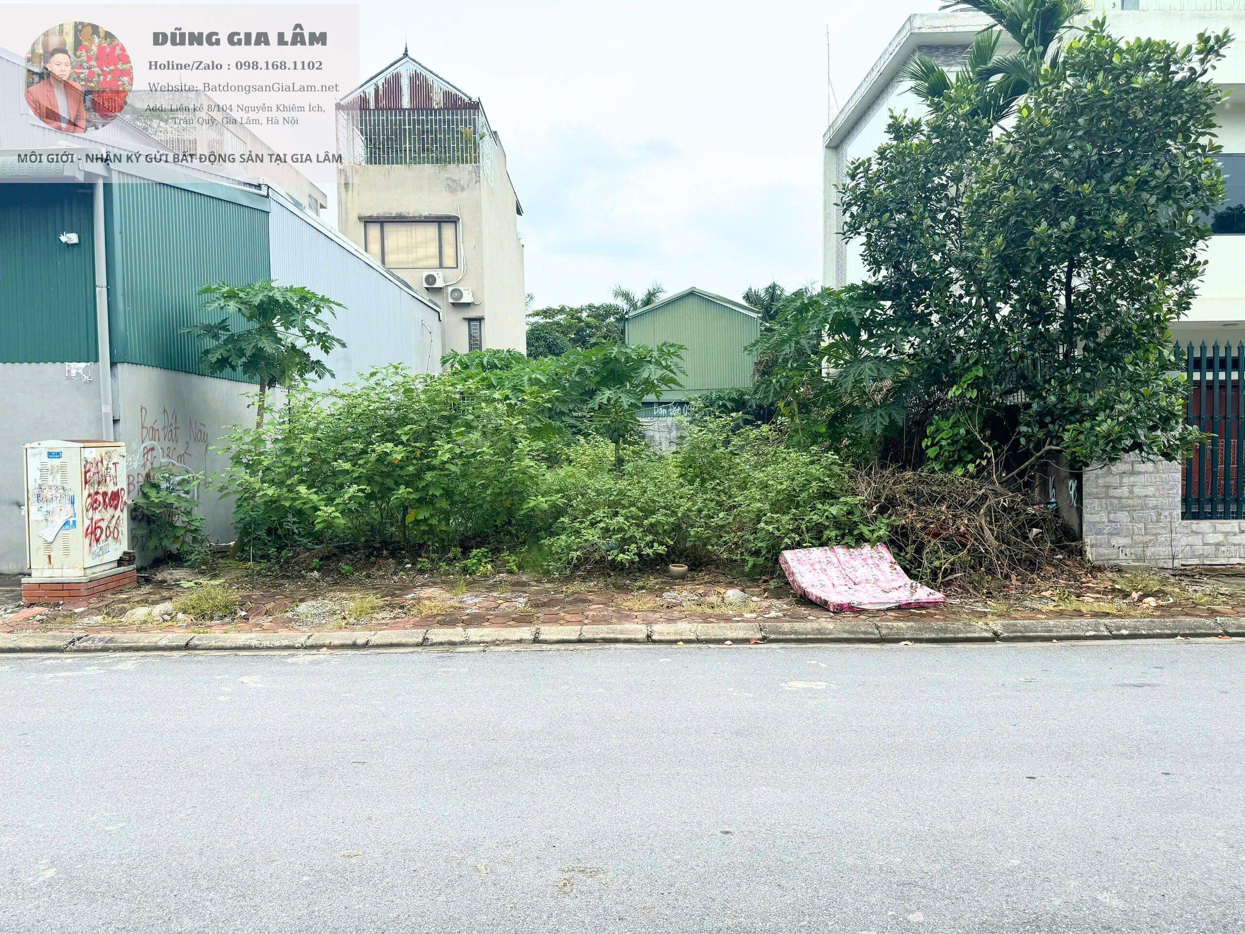 ban dat biet thu gia lam