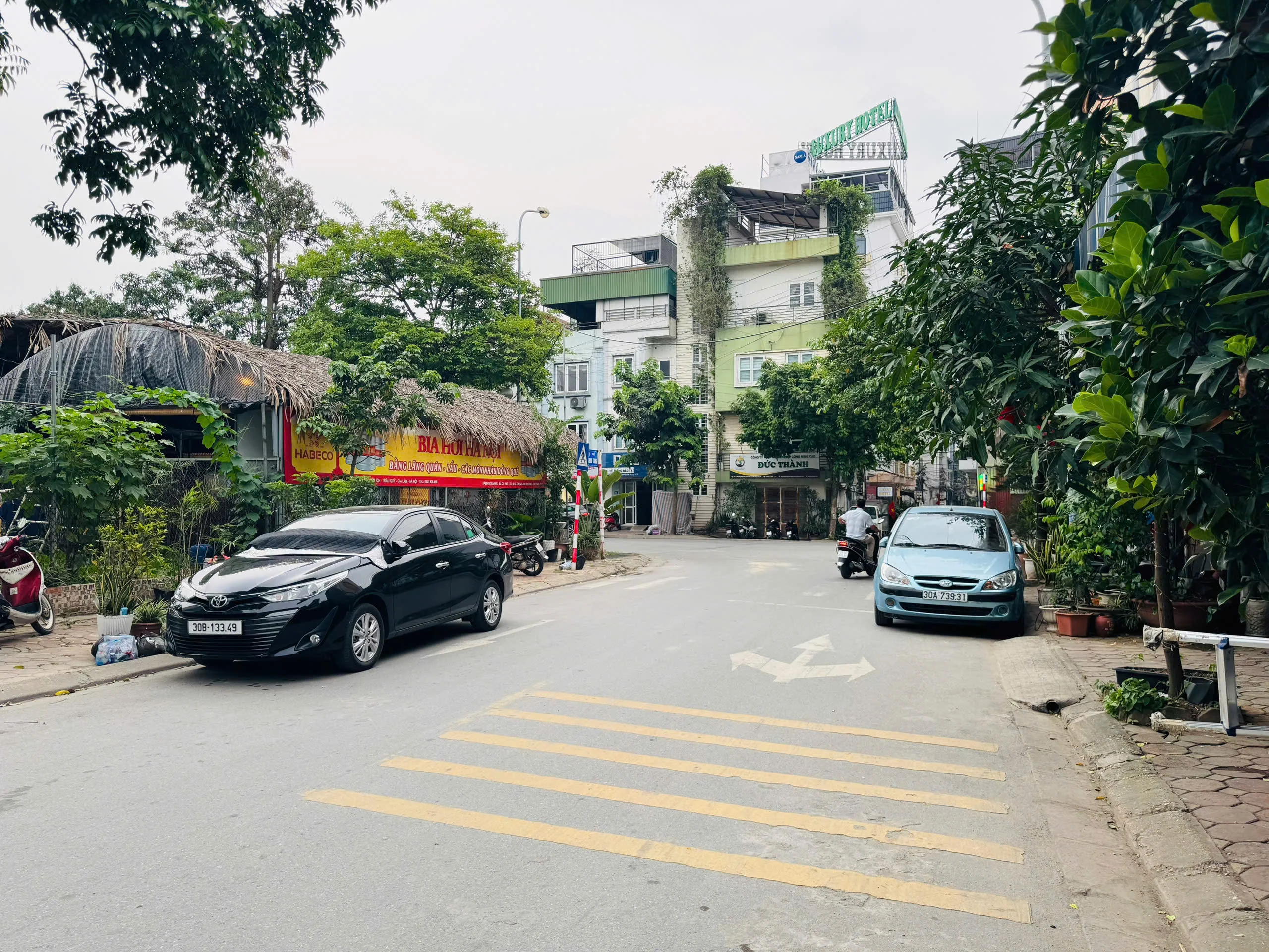 mua ban dat pho chinh trung trau quy