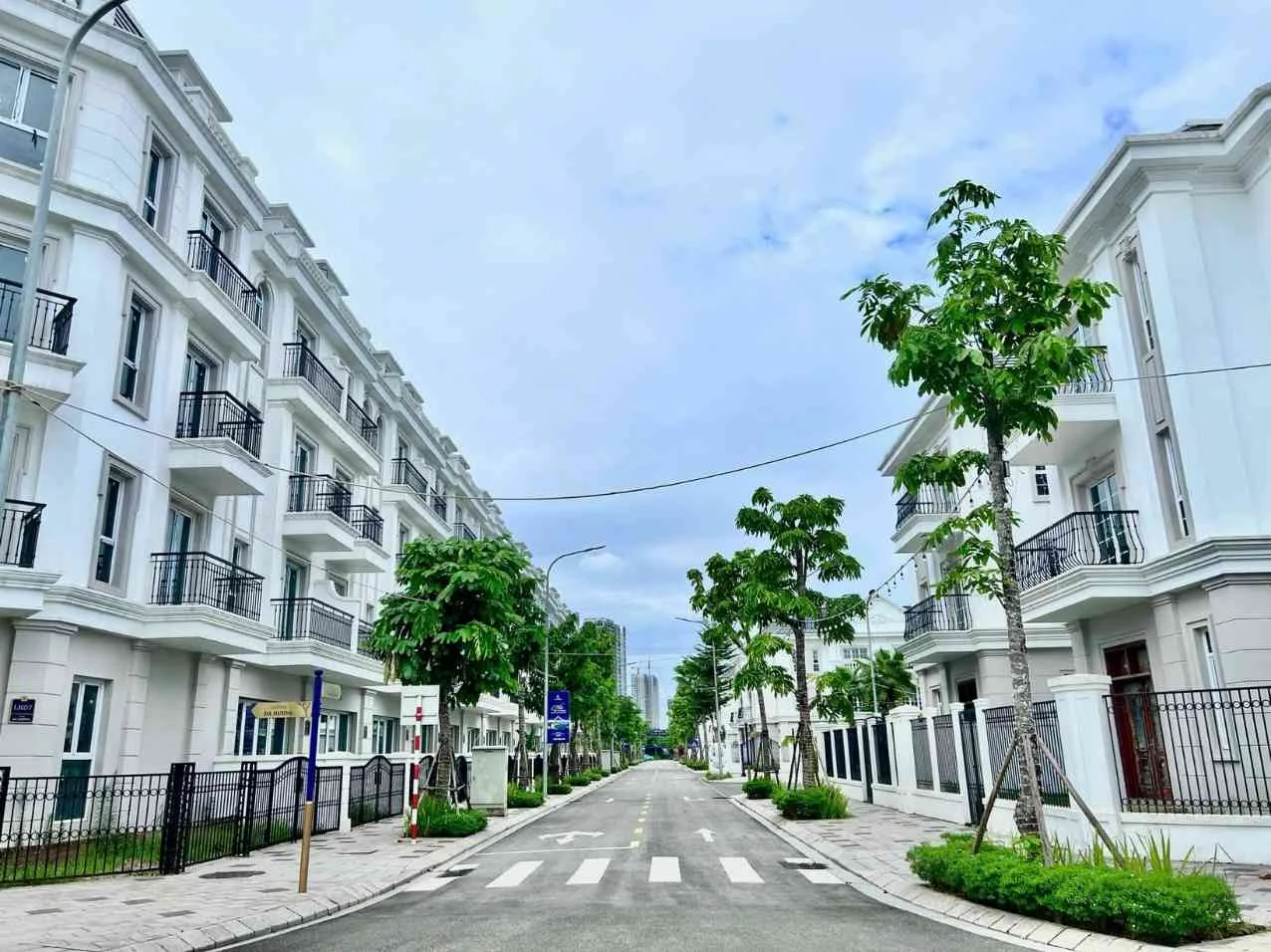Trang chủ 84 26 3