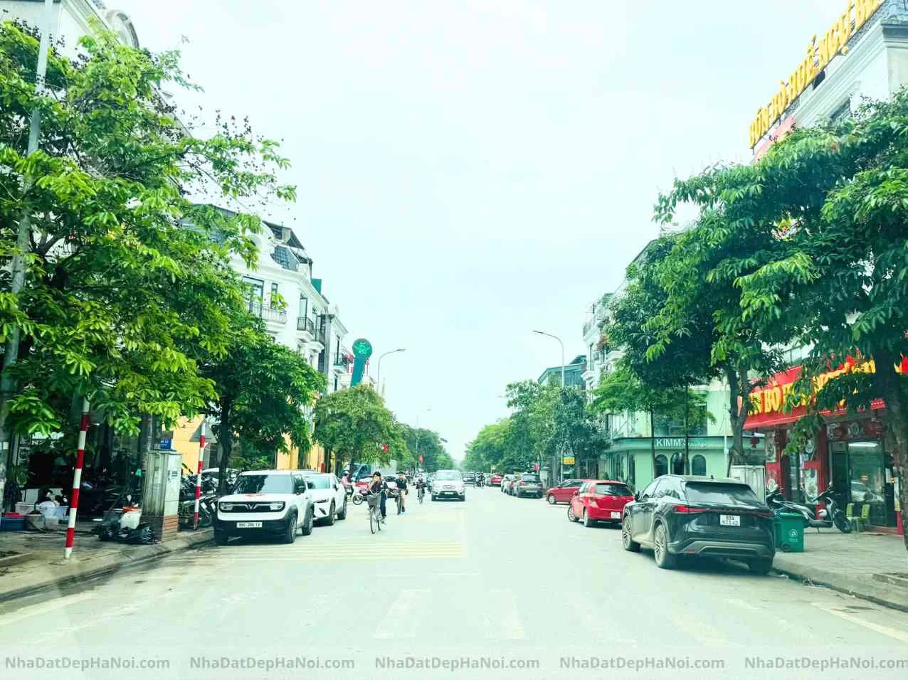 Trang chủ 86 7 1